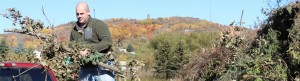 Man unloads yard waste
