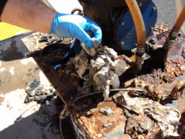 Wipes retrieved from a WLSSD pump