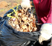 Black garbage bag of leaves