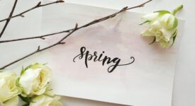 spring written on notecard